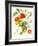 Tomatoes, 1994-Margaret Ann Eden-Framed Giclee Print