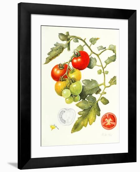 Tomatoes, 1994-Margaret Ann Eden-Framed Giclee Print