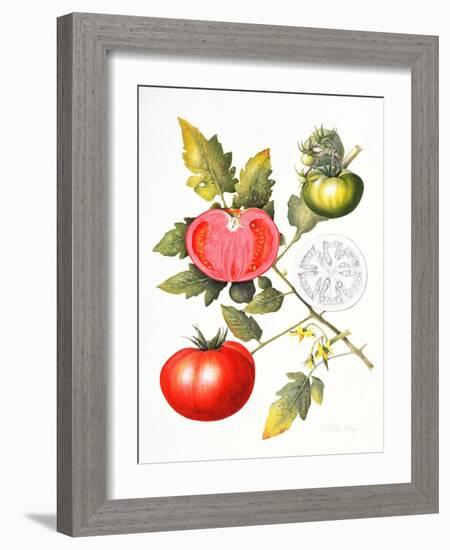 Tomatoes, 1994-Margaret Ann Eden-Framed Giclee Print