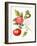 Tomatoes, 1994-Margaret Ann Eden-Framed Giclee Print