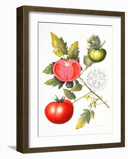 Tomatoes, 1994-Margaret Ann Eden-Framed Giclee Print