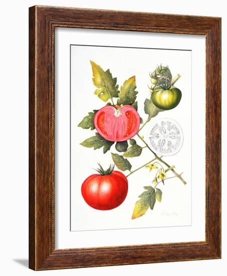 Tomatoes, 1994-Margaret Ann Eden-Framed Giclee Print