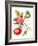 Tomatoes, 1994-Margaret Ann Eden-Framed Giclee Print