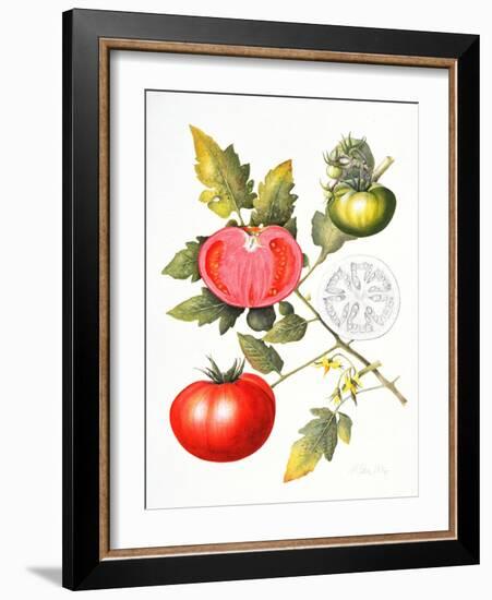 Tomatoes, 1994-Margaret Ann Eden-Framed Giclee Print