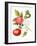 Tomatoes, 1994-Margaret Ann Eden-Framed Giclee Print