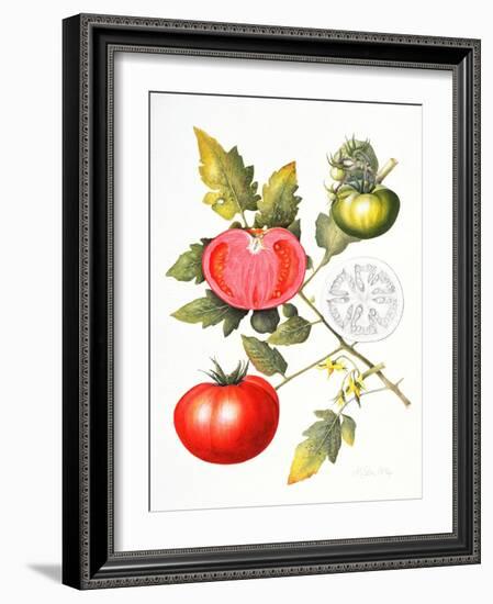 Tomatoes, 1994-Margaret Ann Eden-Framed Giclee Print