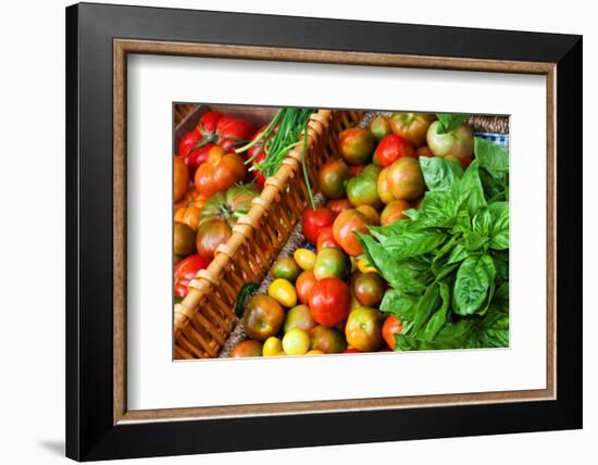 Tomatoes and Basil at Farmers' Market, Savannah, Georgia, USA-Joanne Wells-Framed Photographic Print