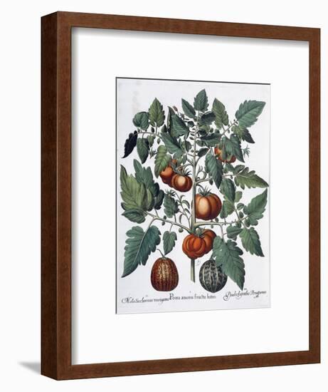 Tomatoes and melons, 1613-Unknown-Framed Giclee Print