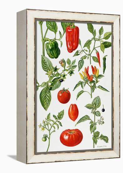 Tomatoes and Related Vegetables, 1986-Elizabeth Rice-Framed Premier Image Canvas