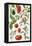 Tomatoes and Related Vegetables, 1986-Elizabeth Rice-Framed Premier Image Canvas