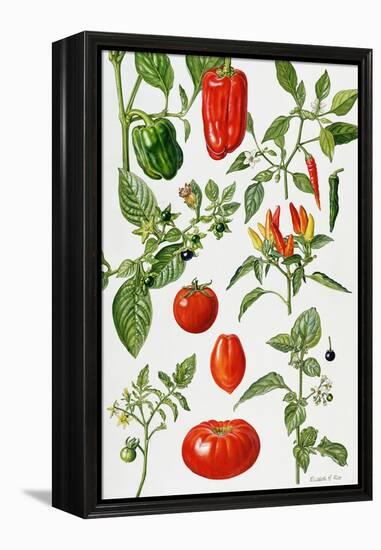 Tomatoes and Related Vegetables, 1986-Elizabeth Rice-Framed Premier Image Canvas