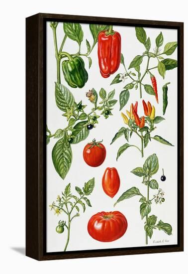 Tomatoes and Related Vegetables, 1986-Elizabeth Rice-Framed Premier Image Canvas