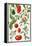 Tomatoes and Related Vegetables, 1986-Elizabeth Rice-Framed Premier Image Canvas