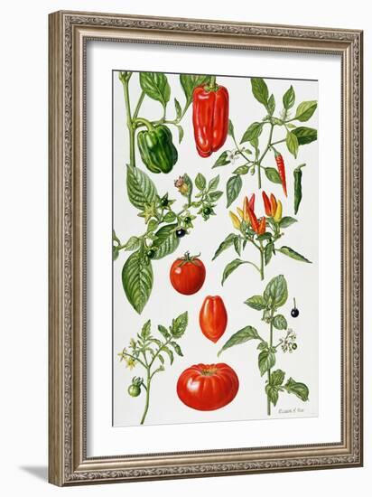 Tomatoes and Related Vegetables, 1986-Elizabeth Rice-Framed Giclee Print