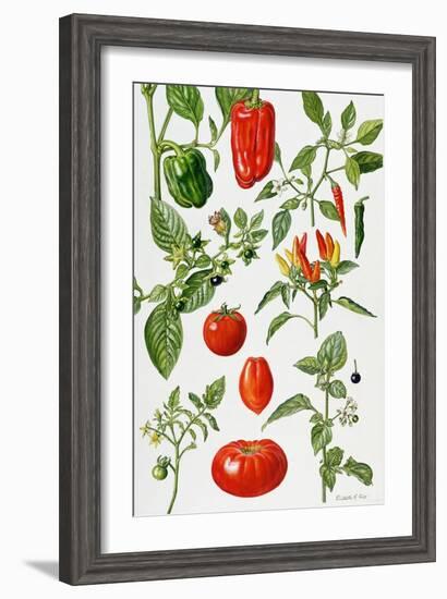 Tomatoes and Related Vegetables, 1986-Elizabeth Rice-Framed Giclee Print