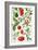 Tomatoes and Related Vegetables, 1986-Elizabeth Rice-Framed Giclee Print