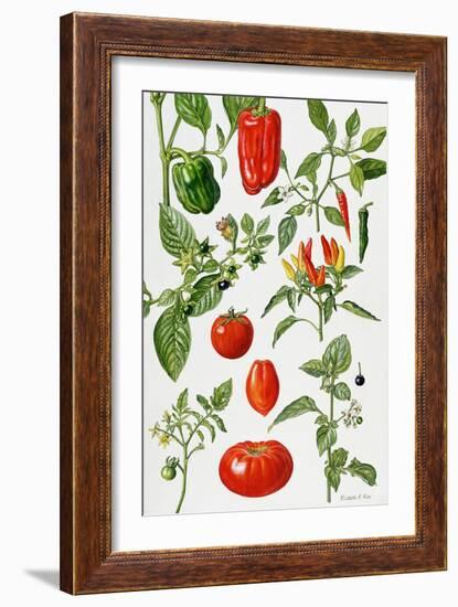 Tomatoes and Related Vegetables, 1986-Elizabeth Rice-Framed Giclee Print