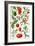 Tomatoes and Related Vegetables, 1986-Elizabeth Rice-Framed Giclee Print