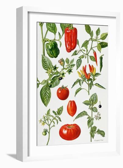 Tomatoes and Related Vegetables, 1986-Elizabeth Rice-Framed Giclee Print