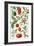 Tomatoes and Related Vegetables, 1986-Elizabeth Rice-Framed Giclee Print