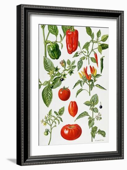 Tomatoes and Related Vegetables, 1986-Elizabeth Rice-Framed Giclee Print