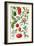 Tomatoes and Related Vegetables, 1986-Elizabeth Rice-Framed Giclee Print