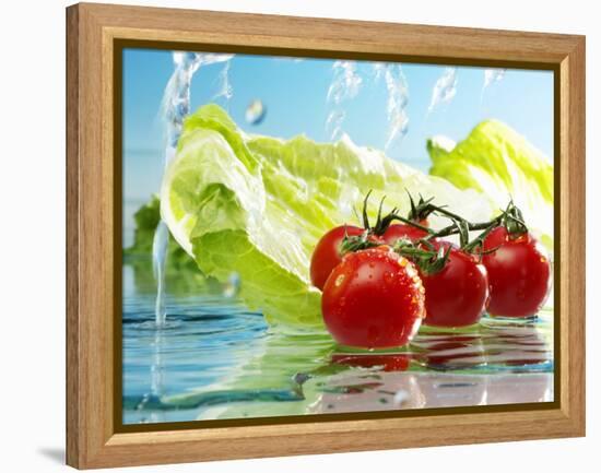 Tomatoes and Romaine Lettuce with Water-Karl Newedel-Framed Premier Image Canvas