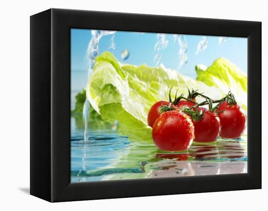 Tomatoes and Romaine Lettuce with Water-Karl Newedel-Framed Premier Image Canvas