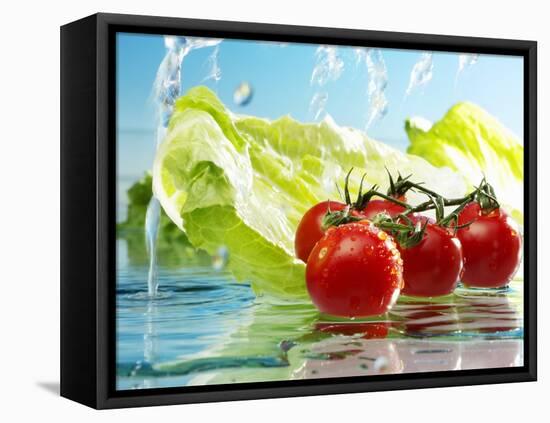 Tomatoes and Romaine Lettuce with Water-Karl Newedel-Framed Premier Image Canvas