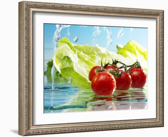 Tomatoes and Romaine Lettuce with Water-Karl Newedel-Framed Photographic Print