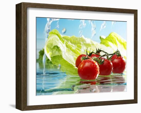 Tomatoes and Romaine Lettuce with Water-Karl Newedel-Framed Photographic Print