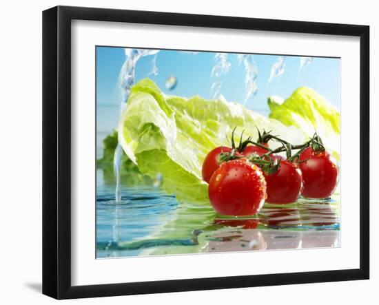 Tomatoes and Romaine Lettuce with Water-Karl Newedel-Framed Photographic Print