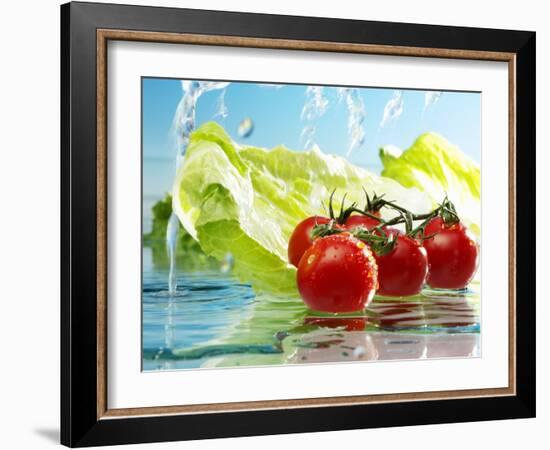 Tomatoes and Romaine Lettuce with Water-Karl Newedel-Framed Photographic Print