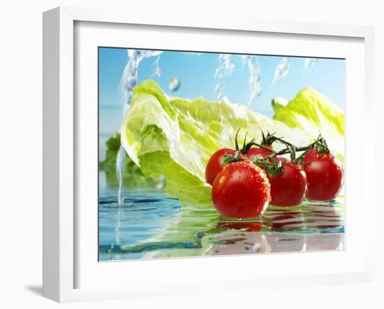 Tomatoes and Romaine Lettuce with Water-Karl Newedel-Framed Photographic Print