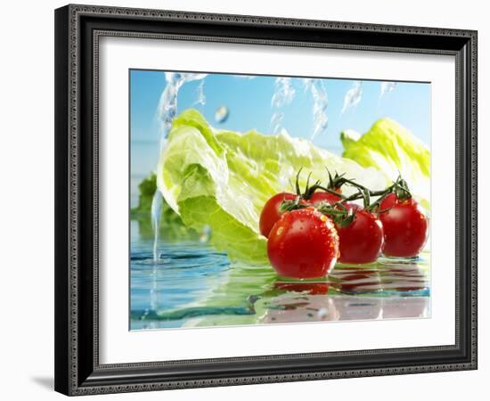 Tomatoes and Romaine Lettuce with Water-Karl Newedel-Framed Photographic Print