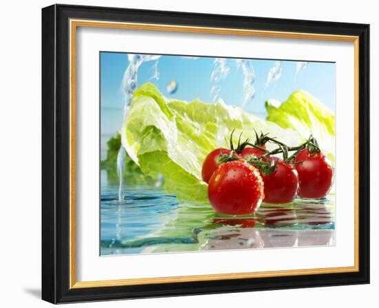 Tomatoes and Romaine Lettuce with Water-Karl Newedel-Framed Photographic Print