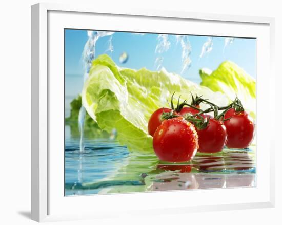 Tomatoes and Romaine Lettuce with Water-Karl Newedel-Framed Photographic Print