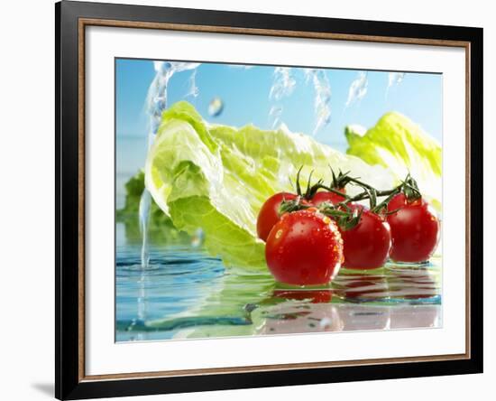 Tomatoes and Romaine Lettuce with Water-Karl Newedel-Framed Photographic Print