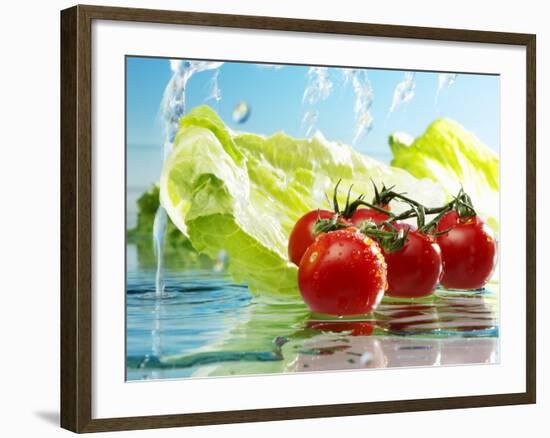 Tomatoes and Romaine Lettuce with Water-Karl Newedel-Framed Photographic Print