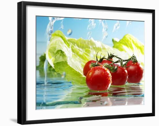 Tomatoes and Romaine Lettuce with Water-Karl Newedel-Framed Photographic Print