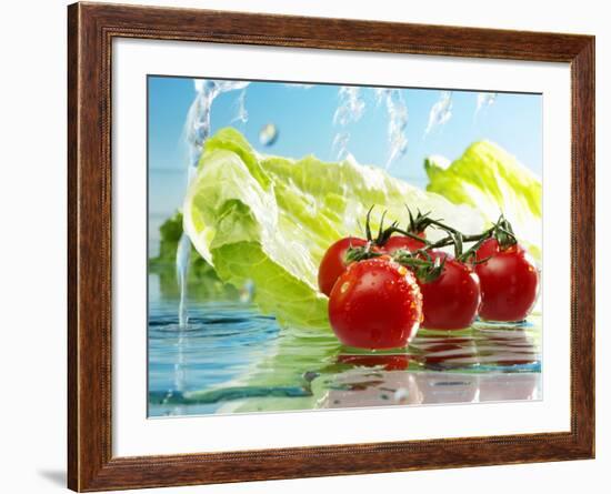 Tomatoes and Romaine Lettuce with Water-Karl Newedel-Framed Photographic Print