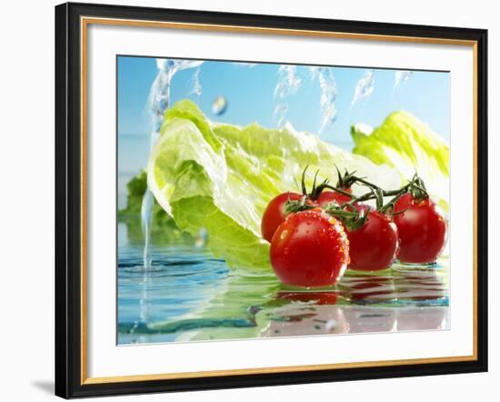 Tomatoes and Romaine Lettuce with Water-Karl Newedel-Framed Photographic Print