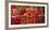 Tomatoes at a Market Stall, Santa Caterina Market, Barcelona, Catalonia, Spain-null-Framed Photographic Print