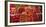 Tomatoes at a Market Stall, Santa Caterina Market, Barcelona, Catalonia, Spain-null-Framed Photographic Print