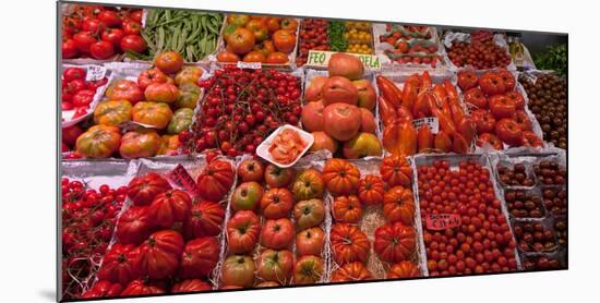 Tomatoes at a Market Stall, Santa Caterina Market, Barcelona, Catalonia, Spain-null-Mounted Photographic Print