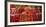 Tomatoes at a Market Stall, Santa Caterina Market, Barcelona, Catalonia, Spain-null-Framed Photographic Print