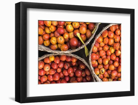 Tomatoes at Hpa an Morning Market, Kayin State (Karen State), Myanmar (Burma), Asia-Matthew Williams-Ellis-Framed Photographic Print