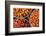 Tomatoes at Hpa an Morning Market, Kayin State (Karen State), Myanmar (Burma), Asia-Matthew Williams-Ellis-Framed Photographic Print