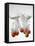 Tomatoes Falling into Water-Kr?ger & Gross-Framed Premier Image Canvas