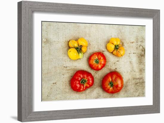 Tomatoes From Farm On Central Maine Coast-Justin Bailie-Framed Photographic Print